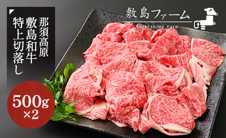 那須高原 敷島和牛特上切落し 1kg（500g×2）国産 黒毛和牛 切り落とし 国産牛 和牛 牛肉 お肉 肉 切り落し 小分け 冷凍 栃木県 那須町《敷島ファーム》〔C-57〕※着日指定不可 　※北海道・沖縄・離島への配送不可