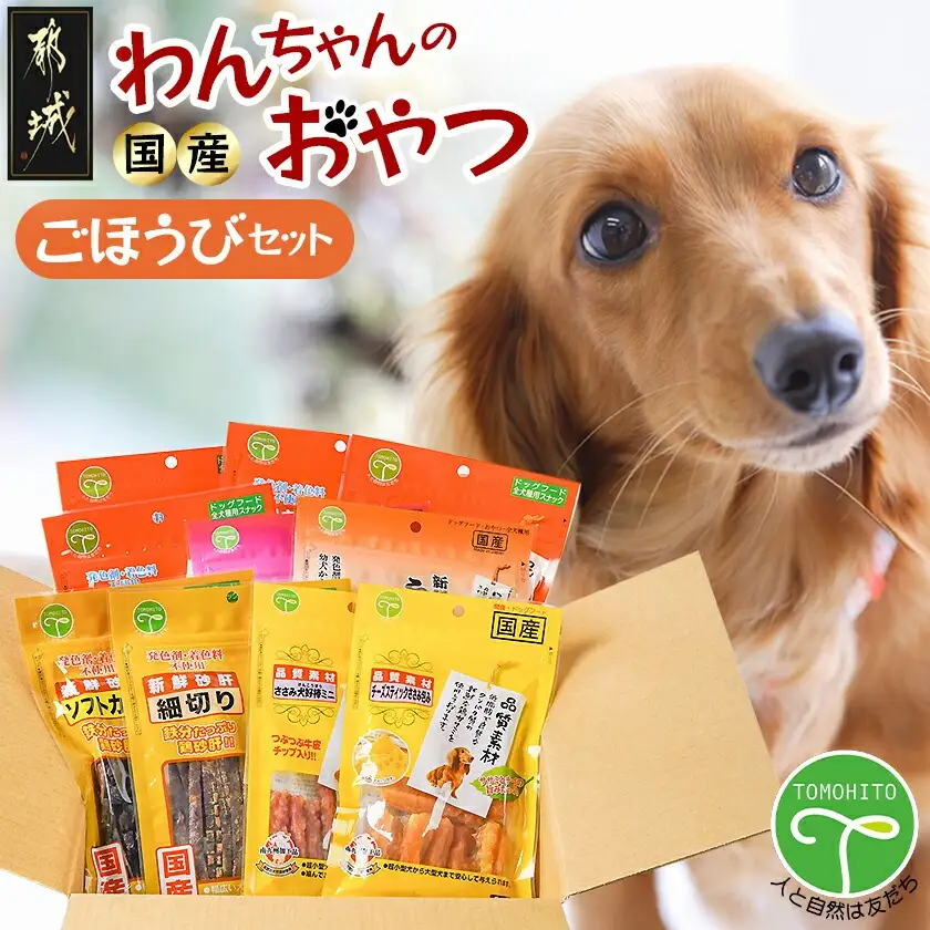 わんちゃんのおやつ★ごほうび10袋セット〔AA-G703〕_(都城市) 国産 犬用おやつ ごほうび 10袋セット 細切りソフト うす切りソフト ふりかけササミ＆チーズ  超やわらか巻きガムミニ ふわふわ削り節 ソフトカット 細切り チーズスティックささみ包み ささみ犬好棒ミニ