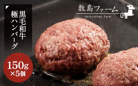 那須高原 敷島和牛手作りハンバーグ（150g×5個）計750g 小分け ハンバーグ 肉 お肉 牛肉 国産 黒毛和牛 冷凍 栃木県 那須町《敷島ファーム》〔B-82〕※着日指定不可　 ※北海道・沖縄・離島への配送不可