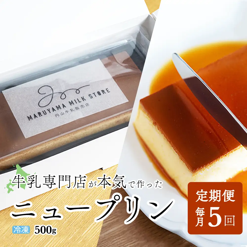【定期便】濃厚プリン　New Pudding（ニュープディング）（500g×1本）×5ヶ月【be152-0931-100-5】 （ ぷりん プリン 濃厚 乳製品 スイーツ 北海道 別海町 人気 ふるさと納税 ）
