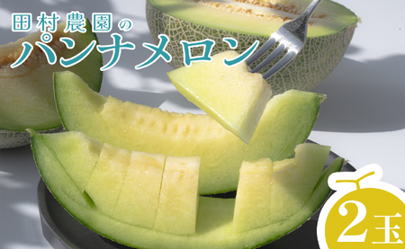 パンナメロン 2玉 希少 甘い 芳醇 メロン フルーツ 果物 数量限定 厳選 ギフト 旬 贈答