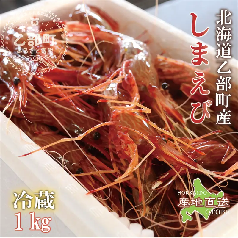 ＜シマエビ(冷蔵)　1kg＞甘く濃厚な味わい！ 北海道 道産 国産 乙部町産 しまえび 海老 日本海 天然 魚介類 新鮮 希少 お刺身 エビチリ 漁師直送 産地直送 送料無料