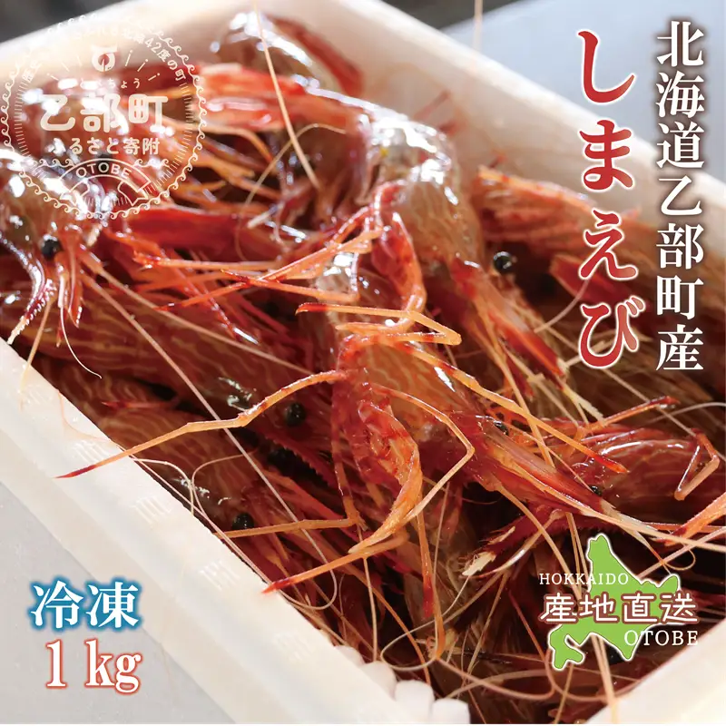 ＜シマエビ(冷凍)　1kg＞甘く濃厚な味わい！ 北海道 道産 国産 乙部町産 しまえび 海老 日本海 天然 魚介類 新鮮 希少 お刺身 エビチリ 漁師直送 産地直送 送料無料