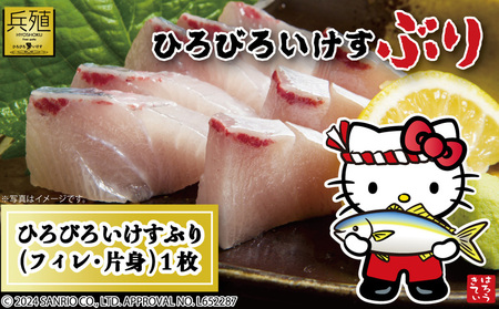 【先行予約】ひろびろいけす ぶり (フィレ・片身)1枚 ※2月発送 | ぶり 津久見市