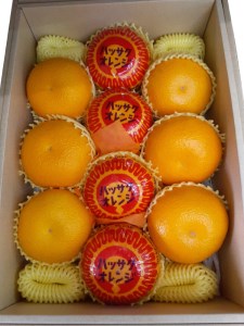 【3/25】ハッサク 約3.7kg(9～15個)期間限定