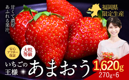 あまおう いちご  1620g あまおう いちご