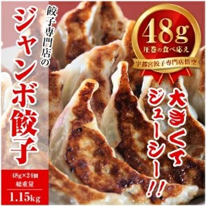 餃子専門店 宇都宮 悟空 ジャンボ餃子24個入