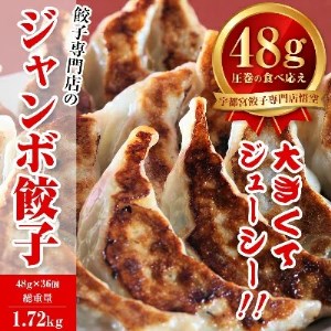 餃子専門店 宇都宮 悟空 ジャンボ餃子36個入