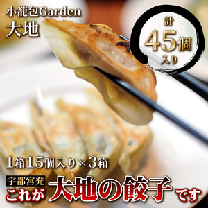 宇都宮発　これが大地の餃子です　計45個入り(1箱15個入り×3箱)