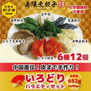 宇都宮餃子 寿限無 餃子のいろどりバラエティセット(6種12個) 　※離島への配送不可