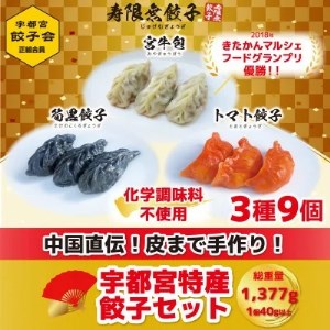 宇都宮餃子 寿限無 宇都宮特産餃子セット(3種×各3個・計9個入り)　※離島への配送不可
