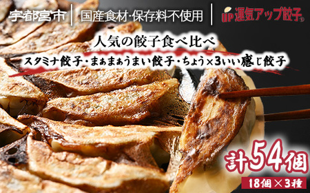 宇都宮餃子 運気アップ餃子  豚餃子 3種類(合計54個)【 餃子 食べ比べセット 冷凍餃子 冷凍食品 惣菜 栃木県 宇都宮市 】※配送不可地域：離島
