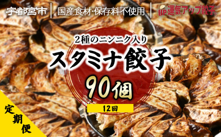 【定期便12回】宇都宮餃子 運気アップ餃子 ニンニクマシマシスタミナ餃子（90個×12回　合計1,080個）【配送不可地域：離島】
