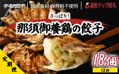 【定期便12回】宇都宮餃子 運気アップ餃子 那須御養鶏の餃子（18個×12回　合計216個）　【配送不可地域：離島】