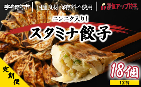 【定期便12回】宇都宮餃子 運気アップ餃子 スタミナ餃子（18個×12回　合計216個）【配送不可地域：離島】