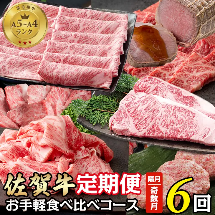 【定期便】佐賀牛 お手軽 食べ比べコース （年6回奇数月） Q096-003