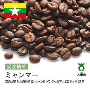 [豆]#180 受注焙煎！310g ミャンマー ORANGE SUNSHINEG1 シャン州 ピンダヤ村アナエロビック 22-23 珈琲豆 コーヒー豆 自家焙煎