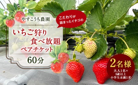 いちご狩り 食べ放題ペアチケット60分(大人1名+3歳以上小学生未満1名) イチゴ狩り 福岡県 やすこうち農園 久山町 体験チケット