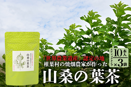 【世界農業遺産の産物】焼畑農家がつくった山桑の葉茶 スティックタイプ 10本入り×3袋【桑茶】 YS-27