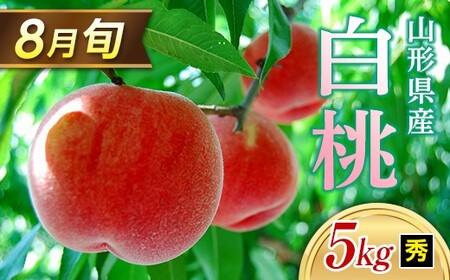 ≪2026年 先行予約≫ 8月旬の白桃 5kg 秀（20～22玉） もも モモ 桃 デザート フルーツ 果物 くだもの 果実 食品 山形県 FSY-1328