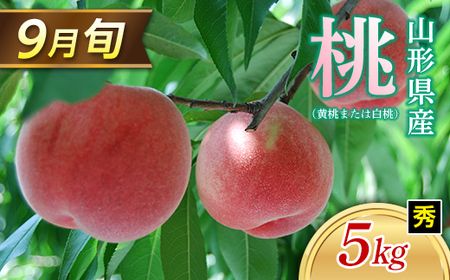 ≪2026年 先行予約≫ 9月旬の桃（白桃または黄桃）5kg 秀（小玉 20～22玉） もも モモ 桃 デザート フルーツ 果物 くだもの 果実 食品 山形県 FSY-1329