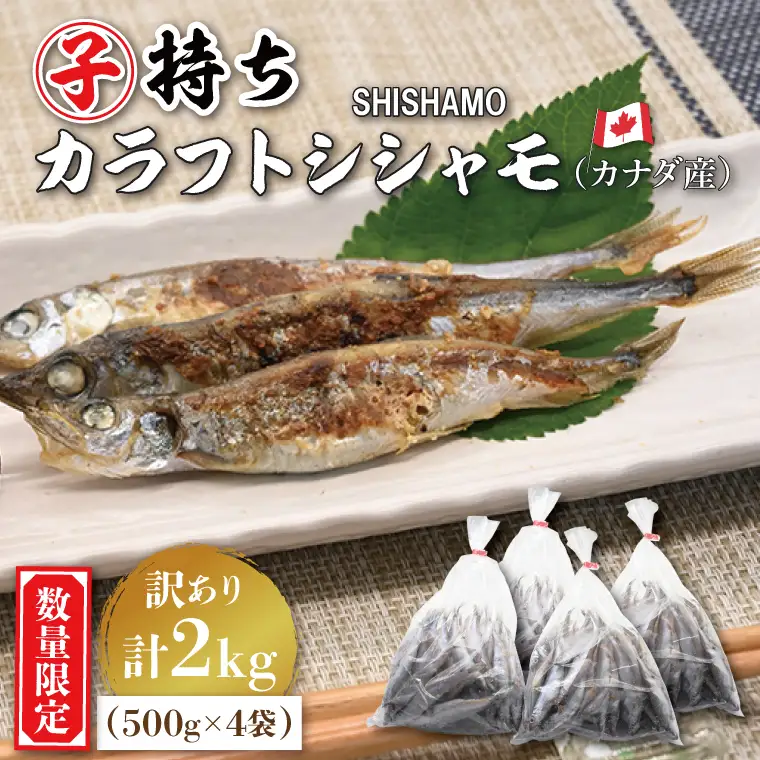 【数量限定！】 子持ち カラフトシシャモ ２kg (500g×4袋) 訳アリ シシャモ ししゃも カラフトししゃも 大洗 規格外 訳あり わけあり 傷_AV010