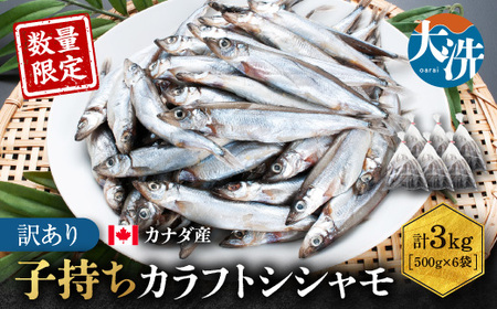 【数量限定！】 子持ち カラフトシシャモ 3kg (500g×6袋) 訳アリ シシャモ ししゃも カラフトししゃも 大洗 規格外 訳あり わけあり 傷_AV011