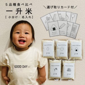 〈名入れ可〉一升米 選び取りカード付 北海道米 5品種食べ比べセット【U-016】