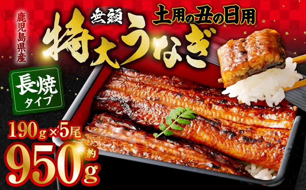 【丑の日用】鹿児島県産無頭特大うなぎ蒲焼約190g×5尾　合計約950g CSR-701