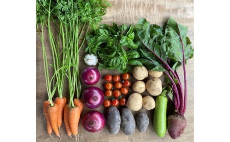 季節の野菜セット【栽培期間中　無農薬、無科学肥料】 野菜の詰め合わせ 旬の野菜 珍しい野菜 旬の食材 国産 日本産 おたのしみ 食べ物 食品 ベジタブル 春野菜 夏野菜 秋野菜 冬野菜 葉物 根菜 