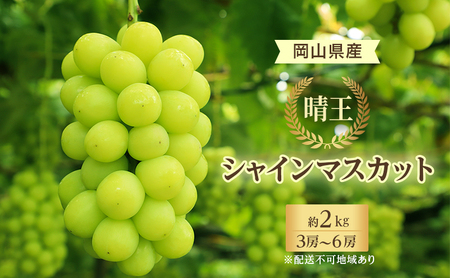 ぶどう 2026年 先行予約 シャイン マスカット 晴王 3房～6房 約2kg 8月下旬～11月下旬発送 ブドウ 葡萄 岡山県産 国産 フルーツ 果物 ギフト 