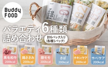 AS-2176 Buddy FOOD バラエティ6種類詰め合わせ 【バディフード】