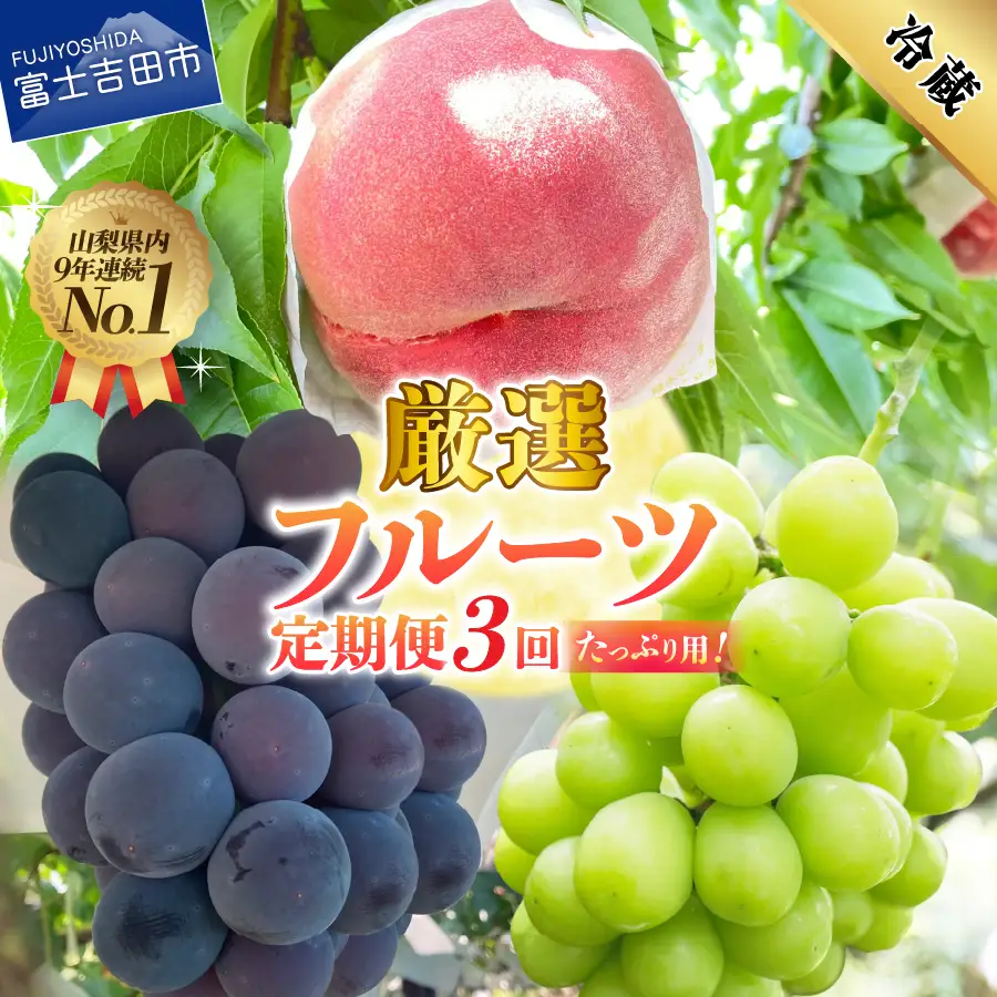 3回 厳選フルーツ定期便 シャインマスカット 桃 黒ぶどう【2026年発送】 定期便