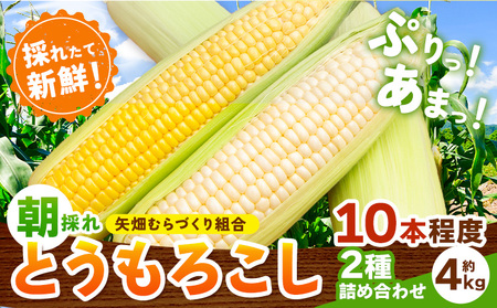とうもろこし白黄ミックス約4kg《6月下旬-7月下旬頃出荷》恵味白い恵味