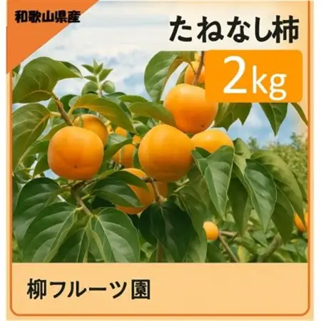 柿【先行受付】柳フルーツ園 たねなし柿 約2kg_果物・フルーツ 柿（カキ）  かき_【1430450】