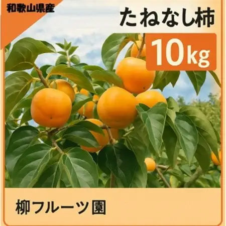 柿【先行受付】柳フルーツ園 たねなし柿 約10kg_果物・フルーツ 柿（カキ）  かき_【1430469】
