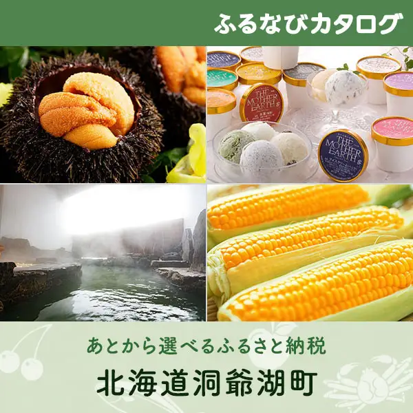 【有効期限なし！後からゆっくり特産品を選べる】北海道洞爺湖町カタログポイント