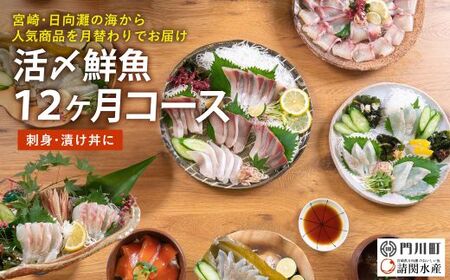 【北海道・離島配送不可】＜定期便・全12回(連続)＞旬の鮮魚(12ヶ月コース)お刺身  海鮮 漬け丼 【UZ-09】【請関水産】