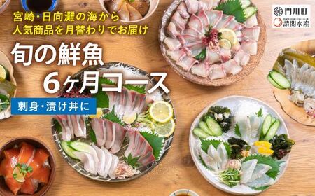 【北海道・離島配送不可】＜定期便・全6回(連続)＞旬の鮮魚(6ヶ月コース)お刺身 海鮮 【UZ-10】【請関水産】