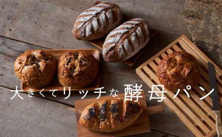 冷凍パンセット 森のパンやさん 凜香「酵母パン」６個セット ライ麦パン 酵母パン 主食 朝食 おやつ はちみつりんご ぶどう 金時豆 焼き芋 お取り寄せ グルメ【E-001】