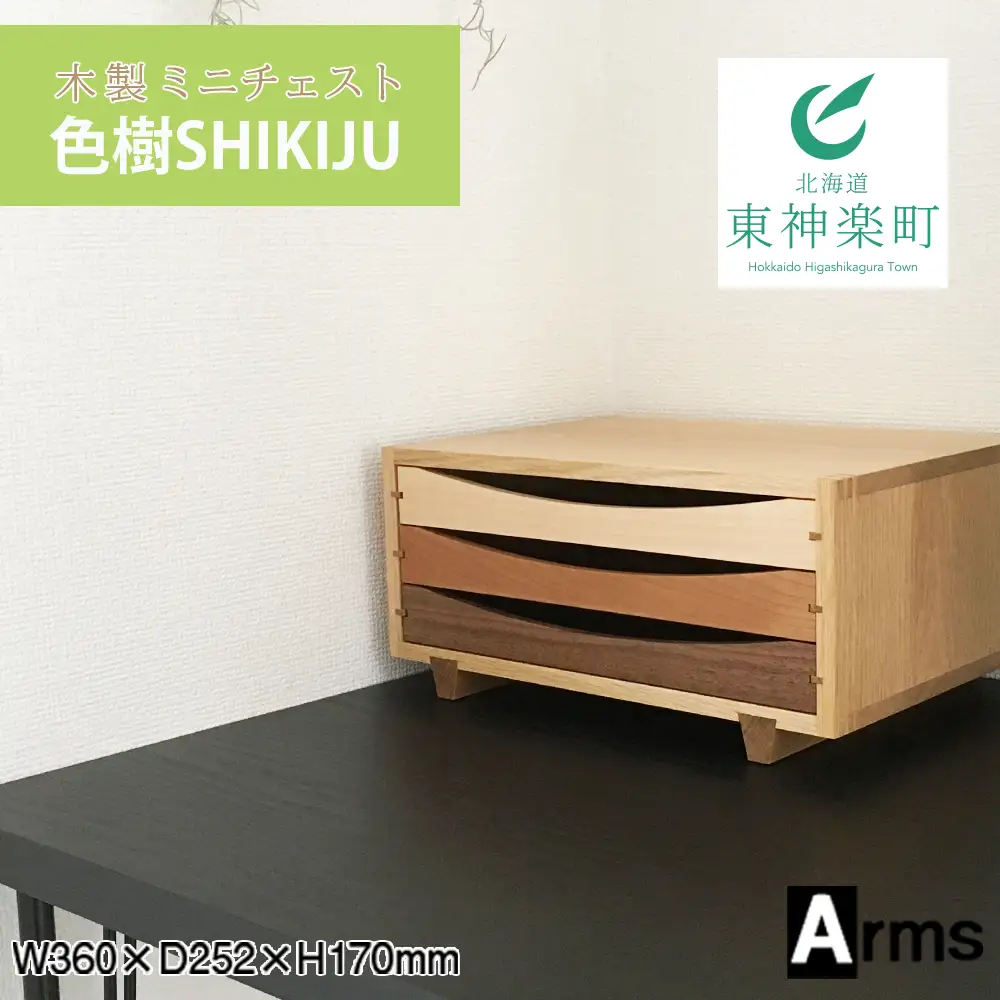 木製レターケース・ミニチェスト ■ 工房 アームズ ■ 色樹 A4（ナラ）