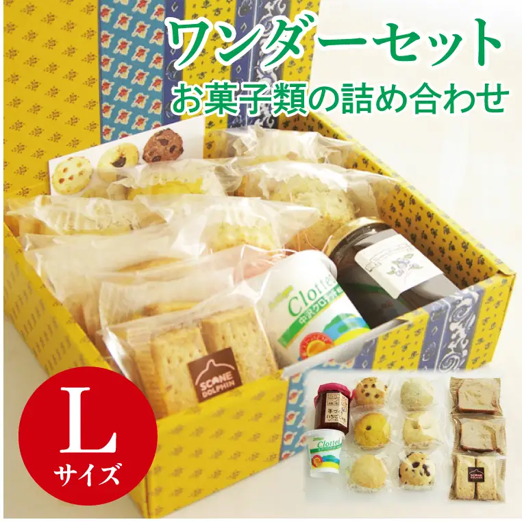 ワンダーセット　Lサイズ （AR-2）