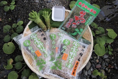 藤屋わさび農園　【特選】生わさびとそばセット