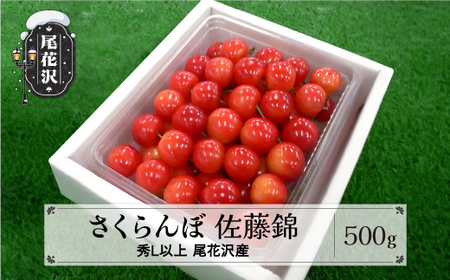 先行予約 さくらんぼ 佐藤錦 500g 秀 Lサイズ以上 令和8年産  kb-snkzx500