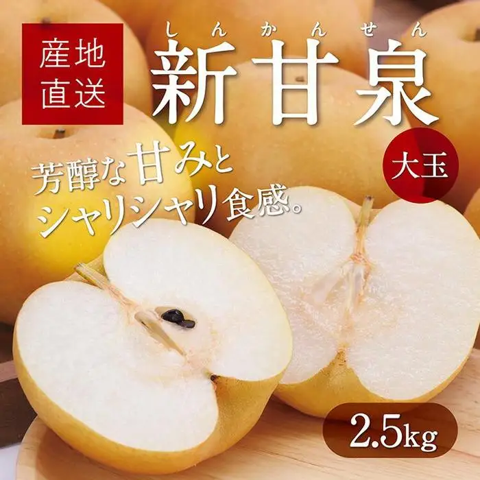 大玉新甘泉 2.5kg箱(5～7玉入)【たにがみ農園】
