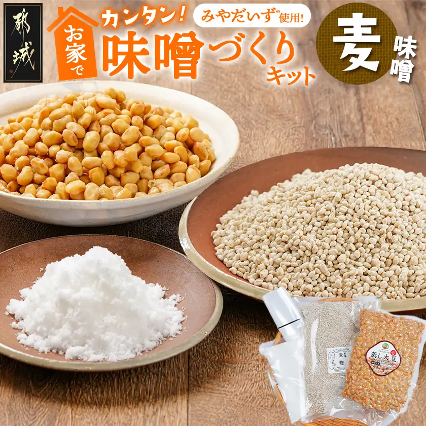 お家で簡単!味噌づくりキット【麦味噌】〔AA-G802〕_(都城市) 味噌づくりキット 麦味噌 蒸し大豆 麦麹 塩 塩分濃度約11％