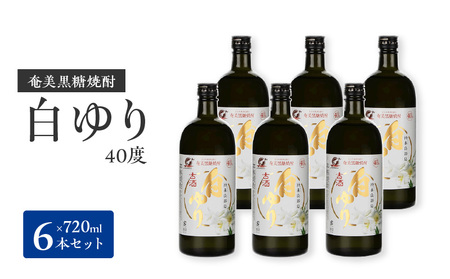 奄美黒糖焼酎 白ゆり40％（720ml）6本セット 化粧箱入り W025-055u 焼酎 飲料 アルコール