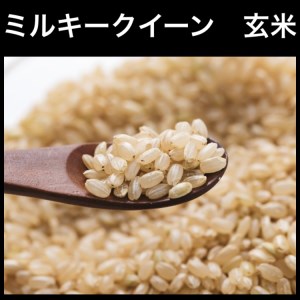 【令和7年産】ミルキークイーン 玄米 5kg 玄米といえば！茨城県産 ブランド米 [1668]