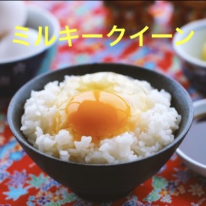 【令和7年産】ミルキークイーン 白米 10kg もっちりあまあま！茨城県産 ブランド米 [1666]