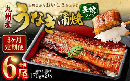 【3カ月定期便】 九州産うなぎ蒲焼 約170g×2尾×3回 DS-605